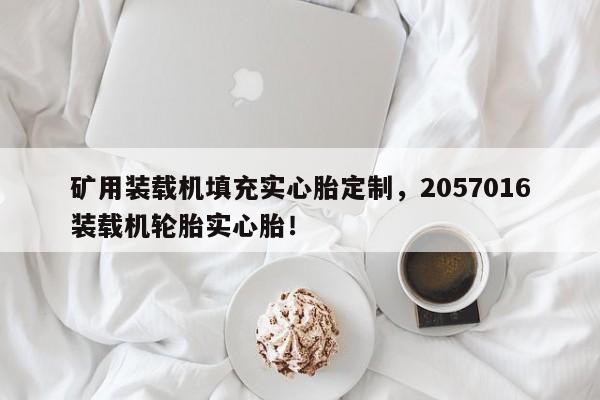 矿用装载机填充实心胎定制，2057016装载机轮胎实心胎！