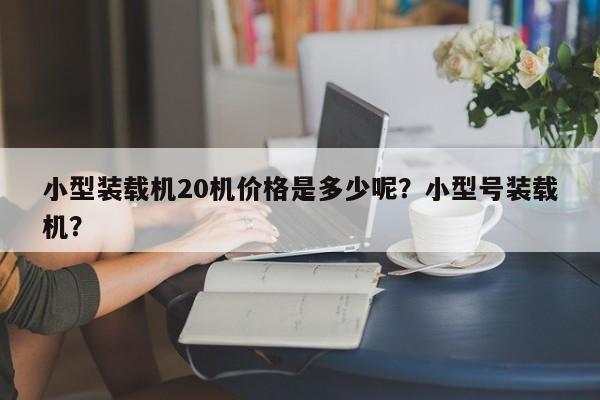 小型装载机20机价格是多少呢？小型号装载机？