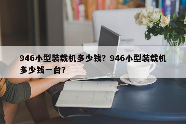 946小型装载机多少钱？946小型装载机多少钱一台？