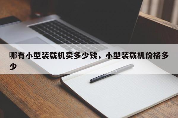 哪有小型装载机卖多少钱，小型装载机价格多少