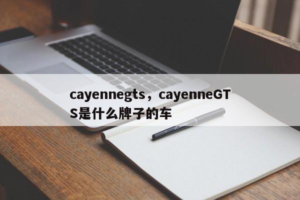 cayennegts，cayenneGTS是什么牌子的车