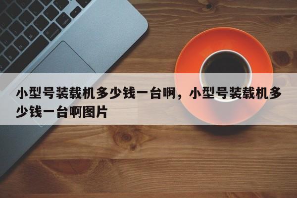 小型号装载机多少钱一台啊，小型号装载机多少钱一台啊图片