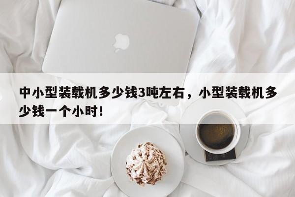 中小型装载机多少钱3吨左右，小型装载机多少钱一个小时！