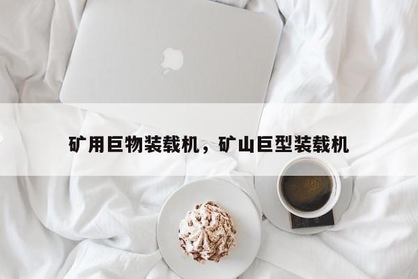 矿用巨物装载机，矿山巨型装载机