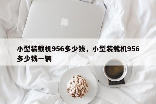 小型装载机956多少钱，小型装载机956多少钱一辆