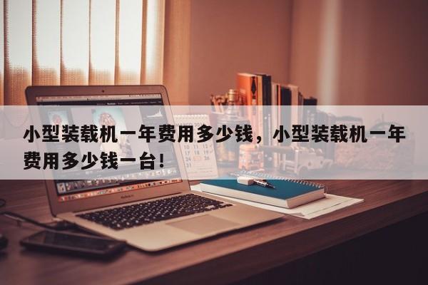 小型装载机一年费用多少钱，小型装载机一年费用多少钱一台！