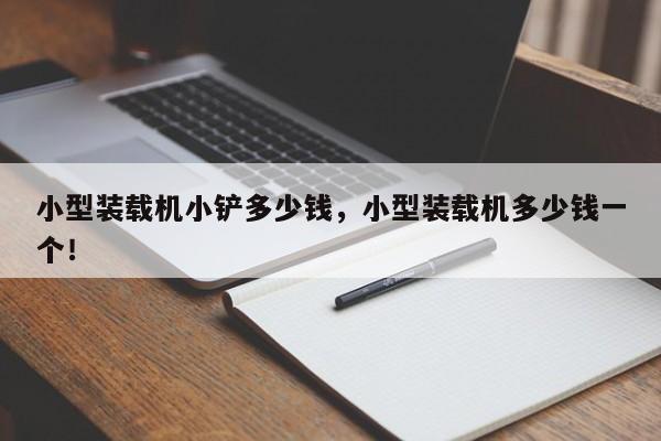 小型装载机小铲多少钱，小型装载机多少钱一个！