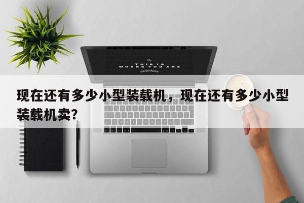 现在还有多少小型装载机，现在还有多少小型装载机卖？