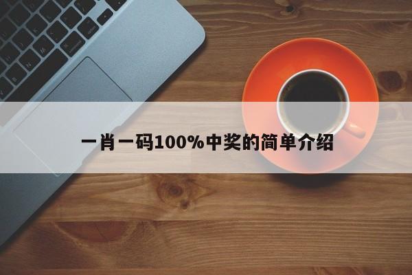 一肖一码100%中奖的简单介绍