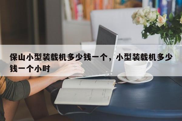 保山小型装载机多少钱一个，小型装载机多少钱一个小时