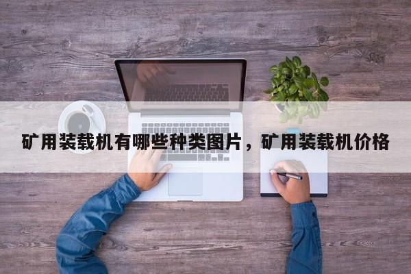 矿用装载机有哪些种类图片，矿用装载机价格