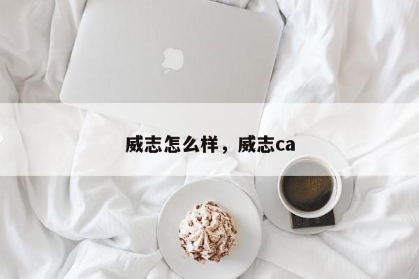 威志怎么样，威志ca