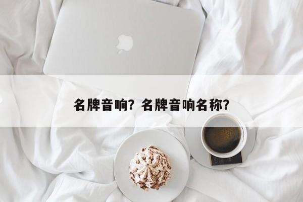 名牌音响？名牌音响名称？