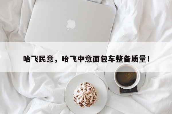 哈飞民意，哈飞中意面包车整备质量！