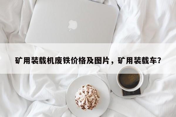 矿用装载机废铁价格及图片，矿用装载车？