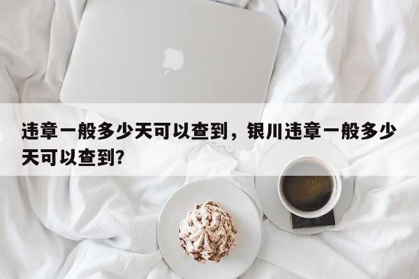 违章一般多少天可以查到，银川违章一般多少天可以查到？