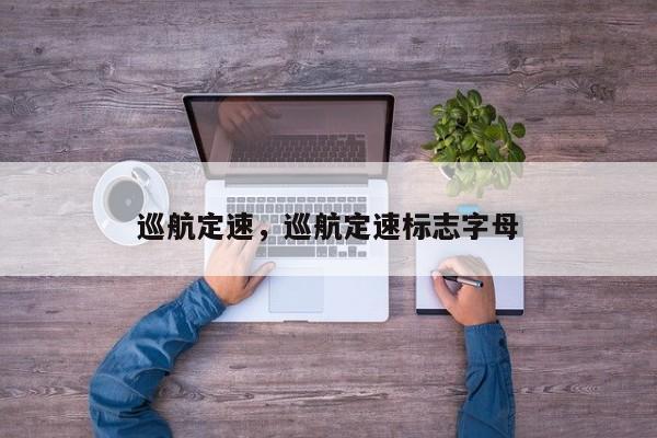 巡航定速，巡航定速标志字母