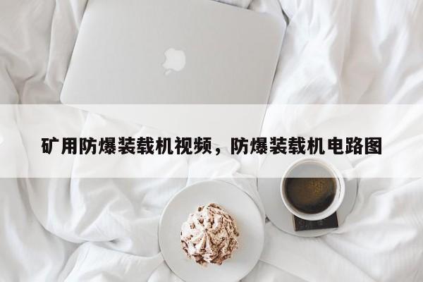 矿用防爆装载机视频，防爆装载机电路图