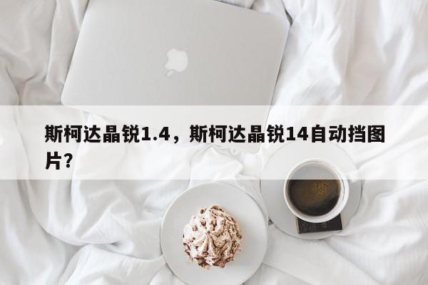 斯柯达晶锐1.4，斯柯达晶锐14自动挡图片？