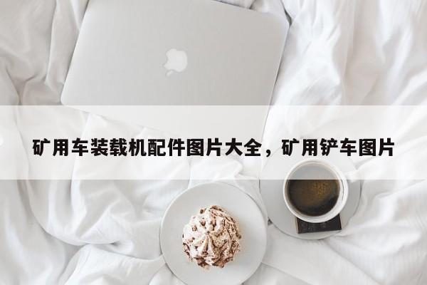 矿用车装载机配件图片大全，矿用铲车图片
