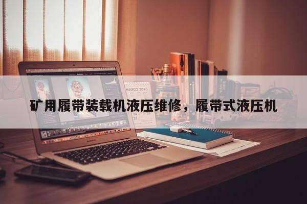 矿用履带装载机液压维修，履带式液压机