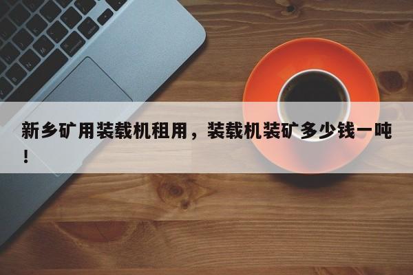 新乡矿用装载机租用，装载机装矿多少钱一吨！