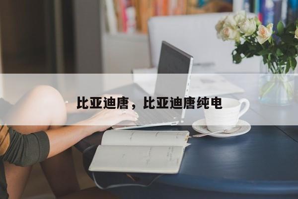 比亚迪唐，比亚迪唐纯电