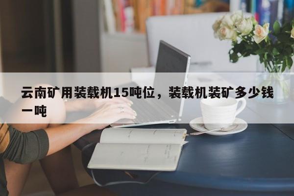 云南矿用装载机15吨位，装载机装矿多少钱一吨