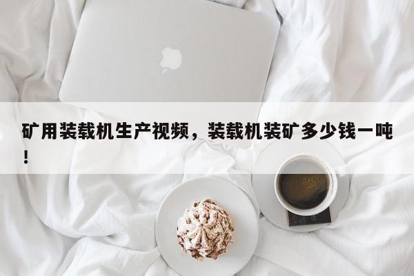 矿用装载机生产视频，装载机装矿多少钱一吨！